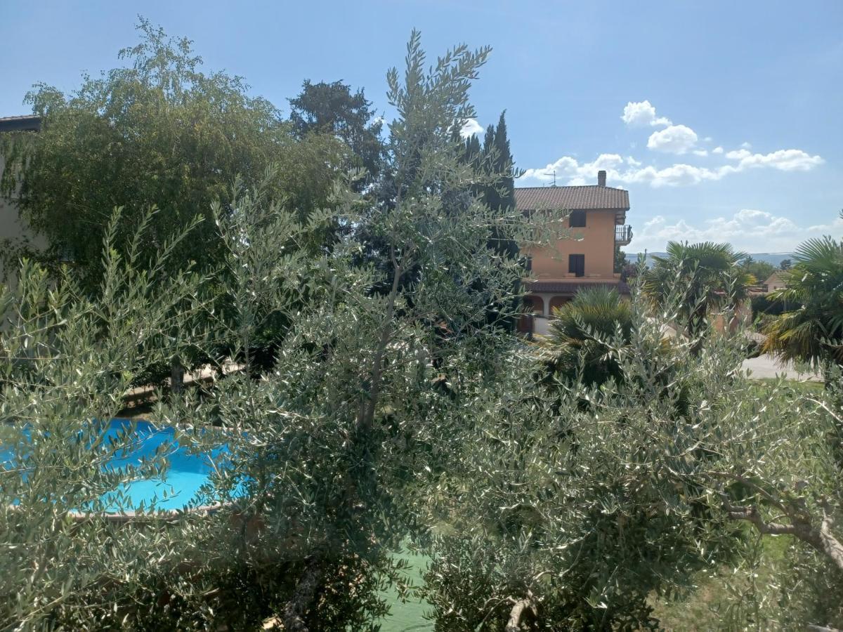 GlampingCashmereHause Rivotorto Bagian luar foto