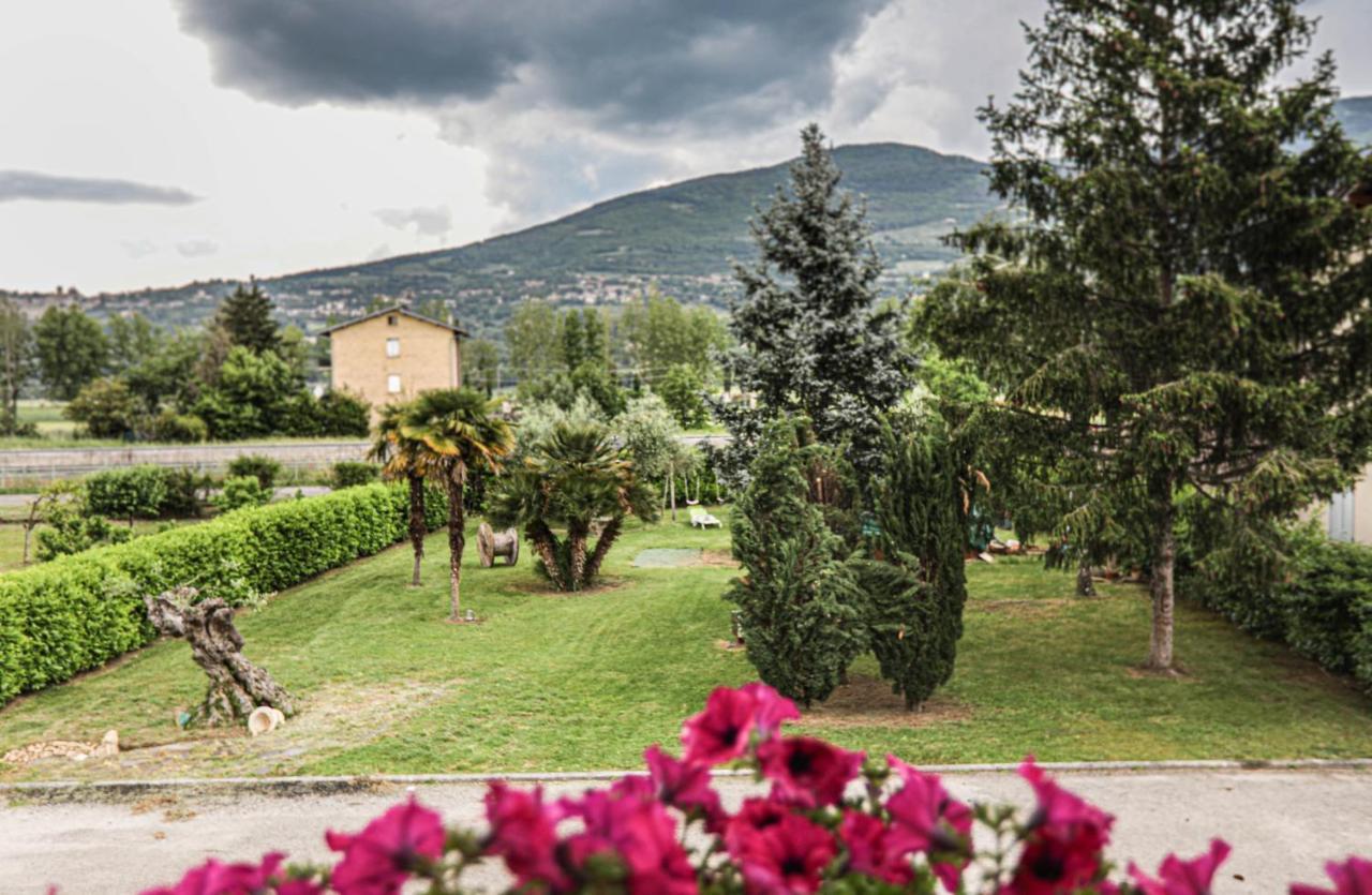 GlampingCashmereHause Rivotorto Bagian luar foto