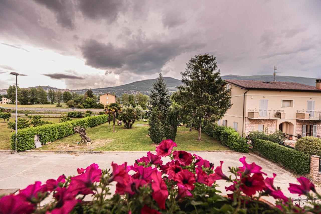 GlampingCashmereHause Rivotorto Bagian luar foto